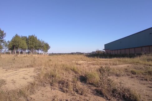 Terreno plano pronto para construir em São Bento do Sul