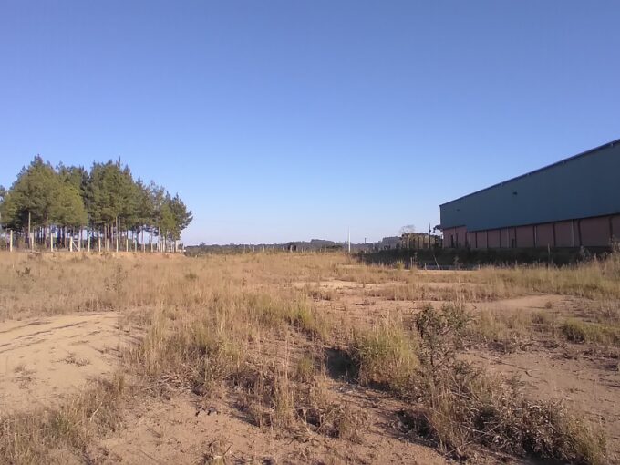 Terreno plano pronto para construir em São Bento do Sul
